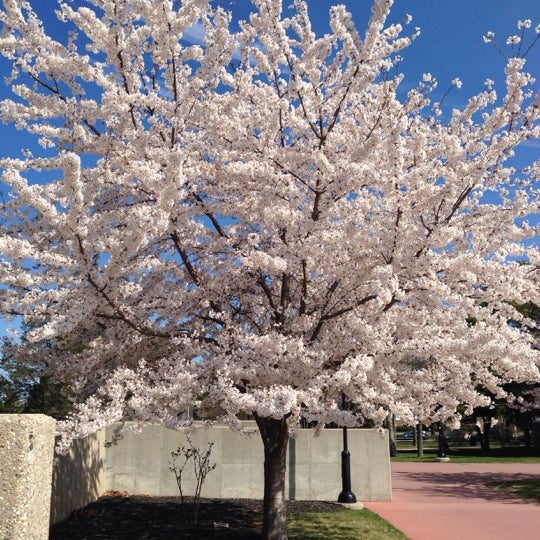 4/25/2014 tarihinde Carolina H.ziyaretçi tarafından Suffolk County Community College'de çekilen fotoğraf