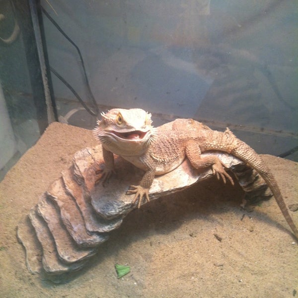 the roadshow 28500 gratiot ave the roadshow 28500 gratiot ave