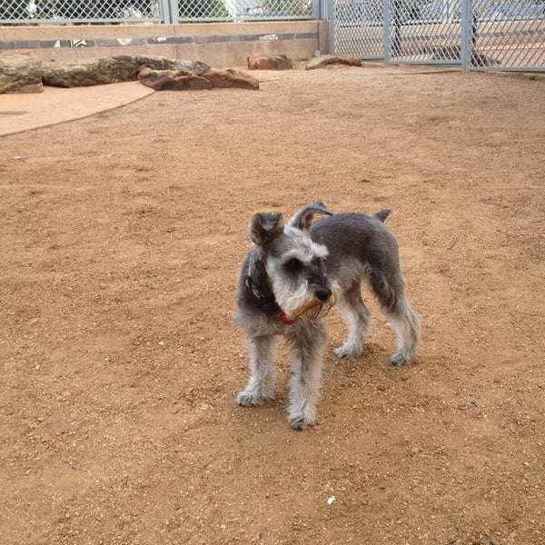 Photos at Market Square Dog Park Dog Park in Houston