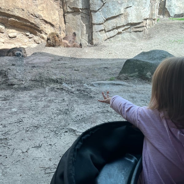 5/17/2022 tarihinde Cory W.ziyaretçi tarafından Minnesota Zoo'de çekilen fotoğraf