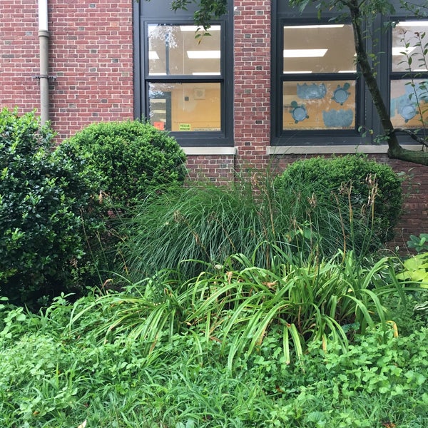 Hewitt Elementary School Elementary School in Rockville Centre