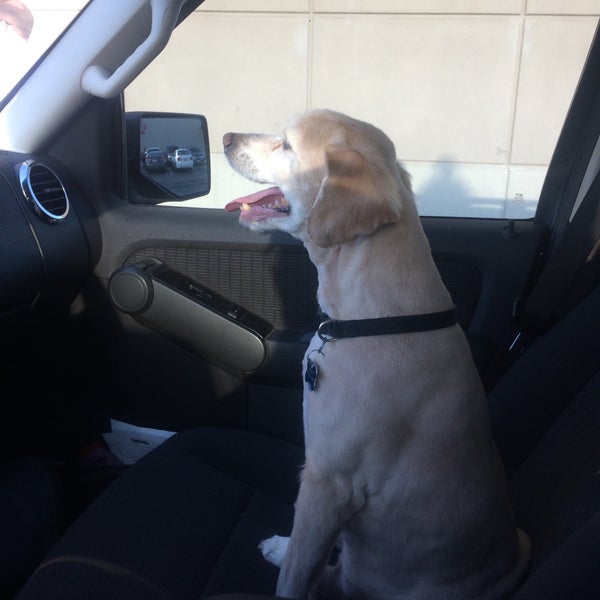 Photos at PetSmart 5500 Greenville Ave