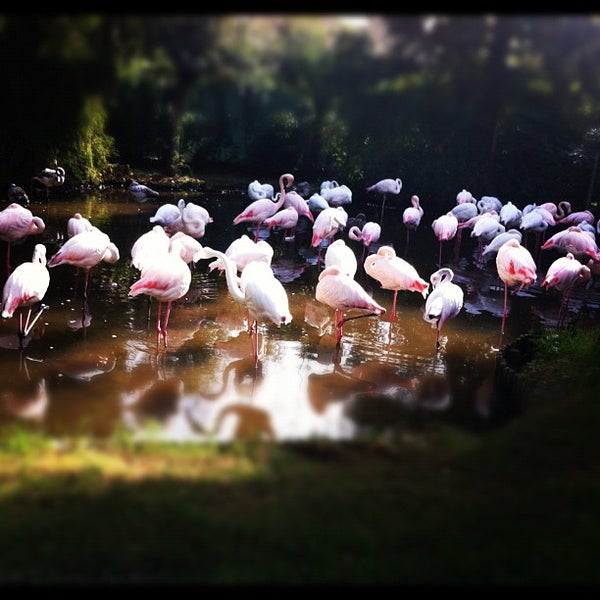 Foto tomada en Parco Zoo Punta Verde  por Federico P. el 10/12/2012