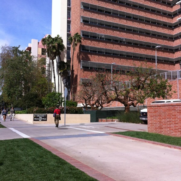 My Image 19