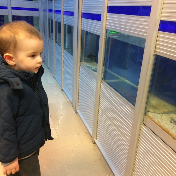 olimpa avm petshop basaksehir 8 ziyaretci