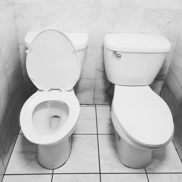 If you're looking to potty with your BFF, this is the spot.