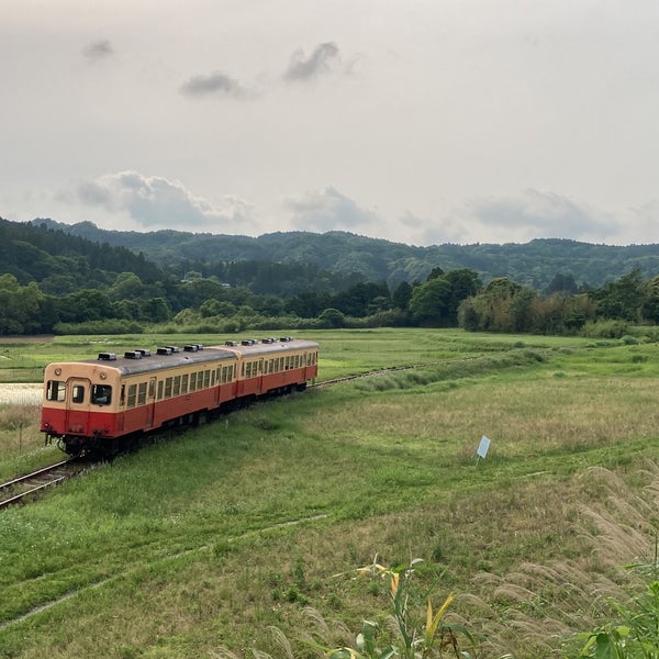 Photos At 石神の菜の花畑 Other Great Outdoors In 市原市