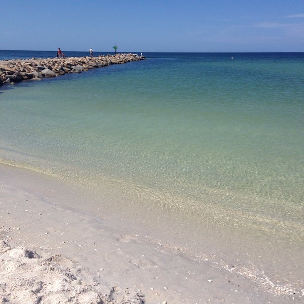 Are Dogs Allowed At North Jetty
