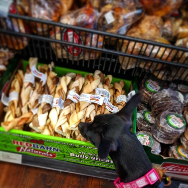 Kahoots Pet Store 1535 E Valley Pkwy