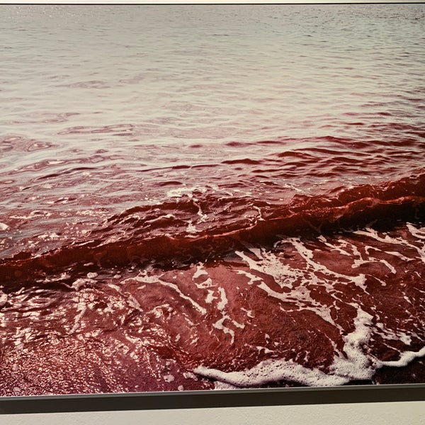 Foto scattata a KUNST HAUS WIEN. Museum Hundertwasser da Alex S. il 6/19/2022