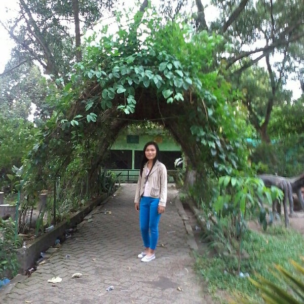 Taman Rimba (Animal Garden Of Jambi) - 2 tips