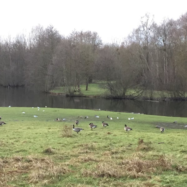 Étangs des Trois sources L'IsleAdam Val d'Oise France Chemin