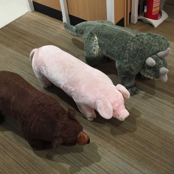 Ft 湘南茅ヶ崎店 Chigasaki 神奈川県