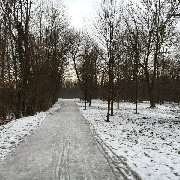 Photos At Englischer Garten Nordteil Alte Heide Hirschau