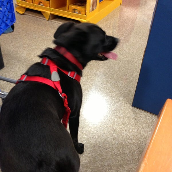 PetSmart Rockaway, NJ