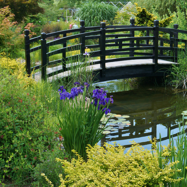 Paxson Hill Farm Garden Center