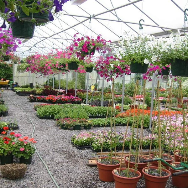 Paxson Hill Farm Garden Center