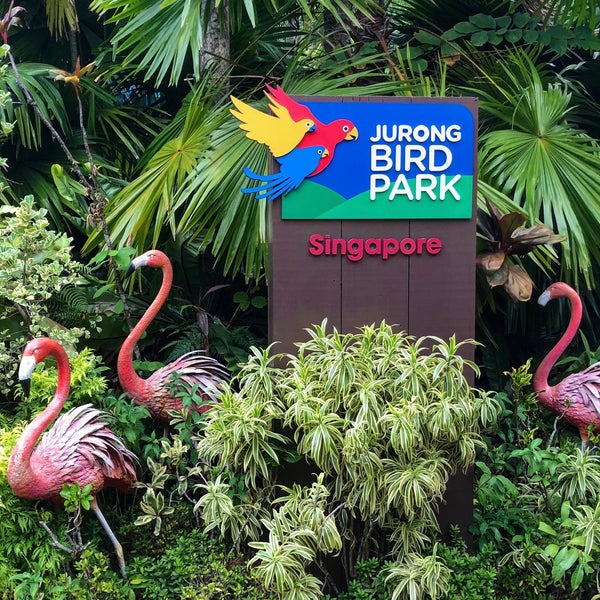9/14/2019에 George A. G.님이 Jurong Bird Park에서 찍은 사진