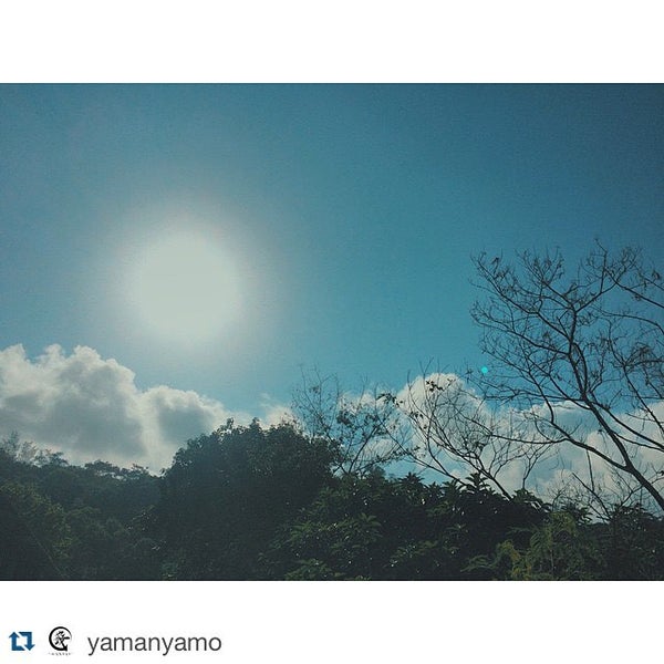 Photos At Clear Water Bay Film Studio 清水灣電影製片場 Ying Yip Rd