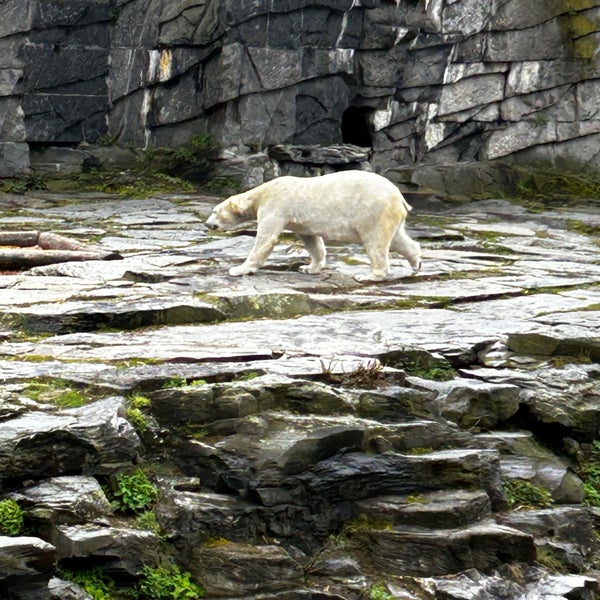 Photo taken at Tierpark Berlin by Dr. B. on 4/8/2023