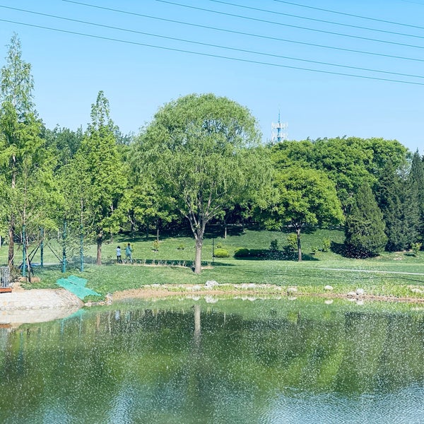 Лайксайд парк. Гайд парк в лондоне. Денвер колорадо парк. Лаго парк. Гайд-парк (hyde park).