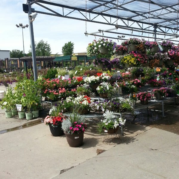 Stein S Garden Home 2 Tips