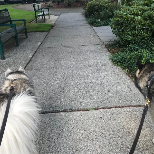 Mill Creek Library Mill Creek, WA