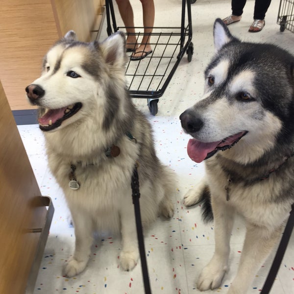 Petco Lynnwood, WA