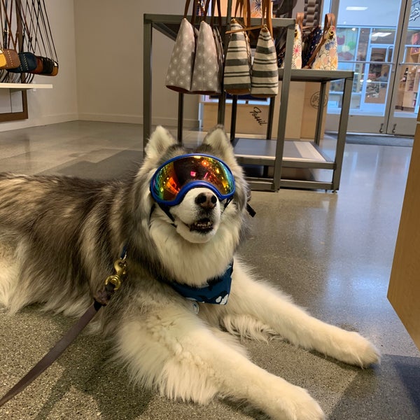 fossil seattle premium outlets