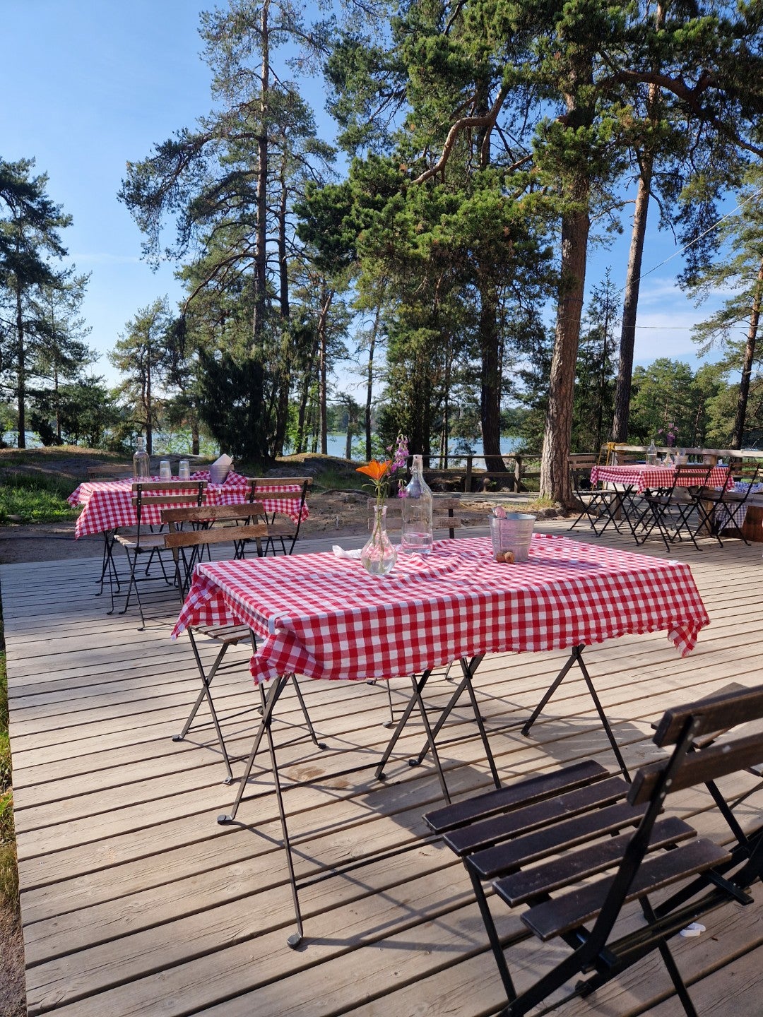 Iso Vasikkasaari Iso Vasikkasaari