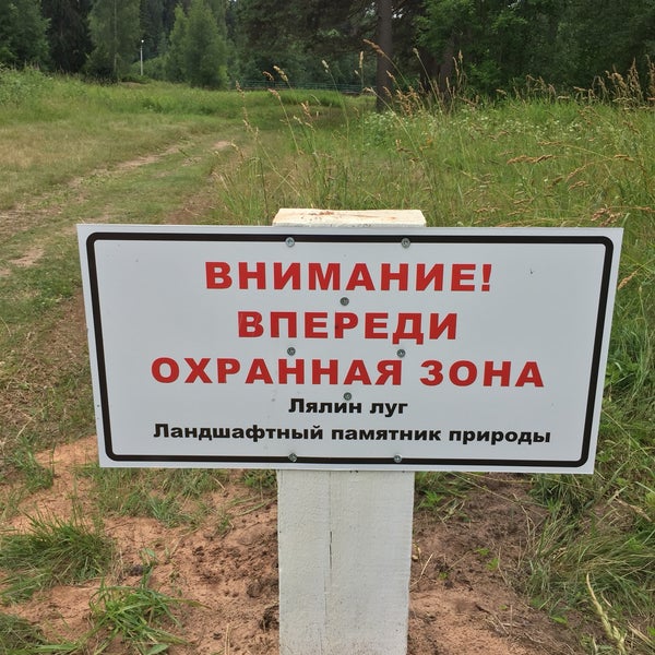 Растения луга разнотравье. Луга разнотравье пермского края. Лялин луг в сиверской. Посёлок сиверский ленинградская область. Лялин луг сиверский.