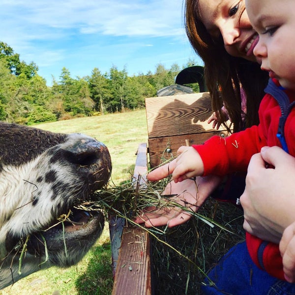 Schreiber's Farm 571 Quaker Farms Rd