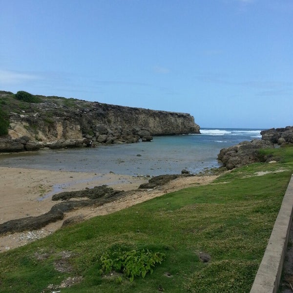 Бухта фанди. Льющая река. Африка заливы бухты. Шона ривер. 5.