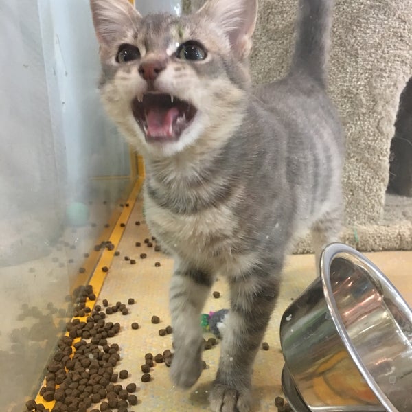 Photos At My Pet Garden 3 Tips From 130 Visitors