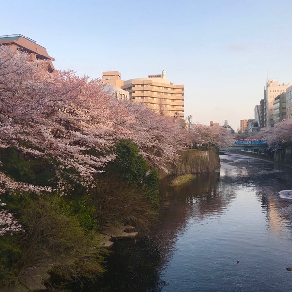 目黒川 船入場橋 中目黒の橋