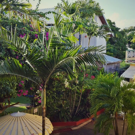 Photos at Store Bay Holiday Resort - Resort