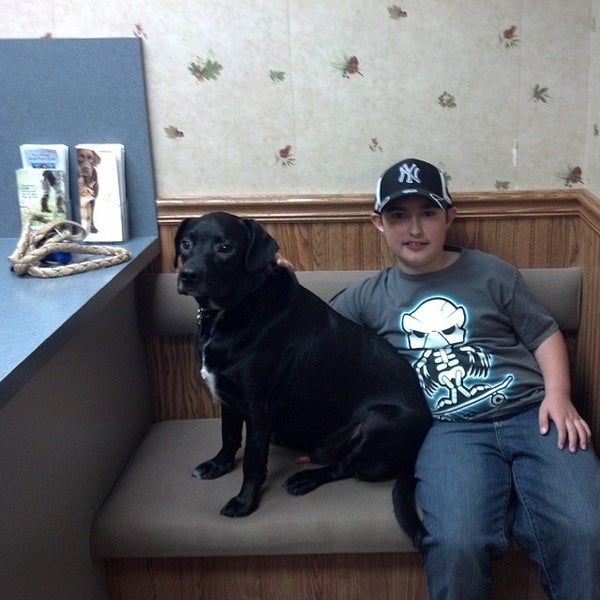 north country animal hospital watertown ny