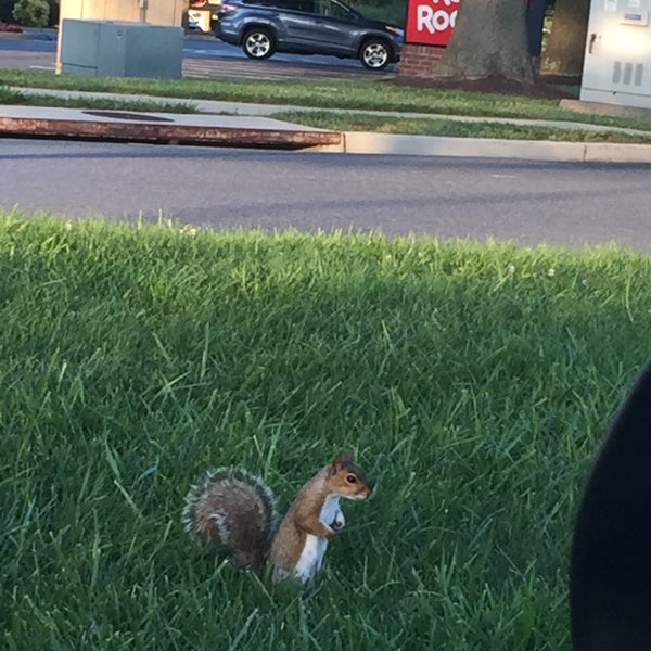 Photos at H Mart Gaithersburg, MD