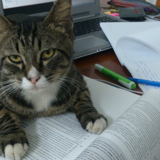 Kuarters Guru Lunas Aucms Lunas Kedah