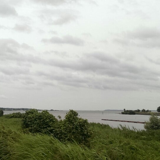 Photos At 桜川畔遊歩道 土浦市港町一丁目1番 付近 土浦市 茨城県