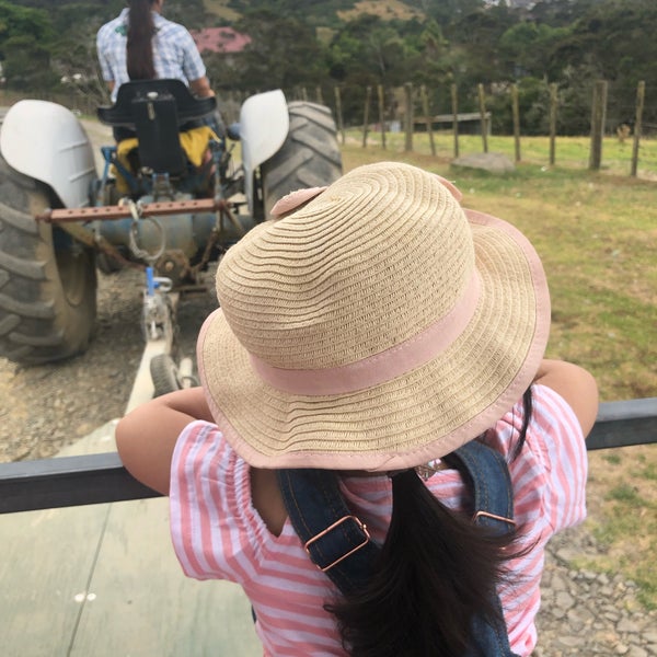 Kiwi Valley Farm Park - 4 tips from 116 visitors