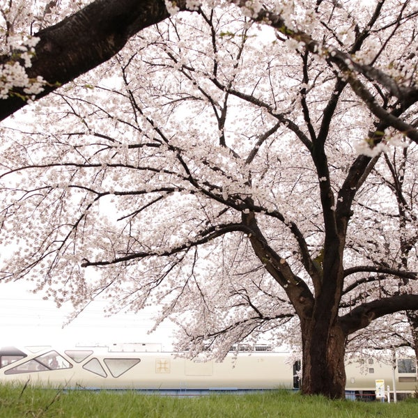 Photos At 磐越西線 下日橋川橋梁 36 Visitors