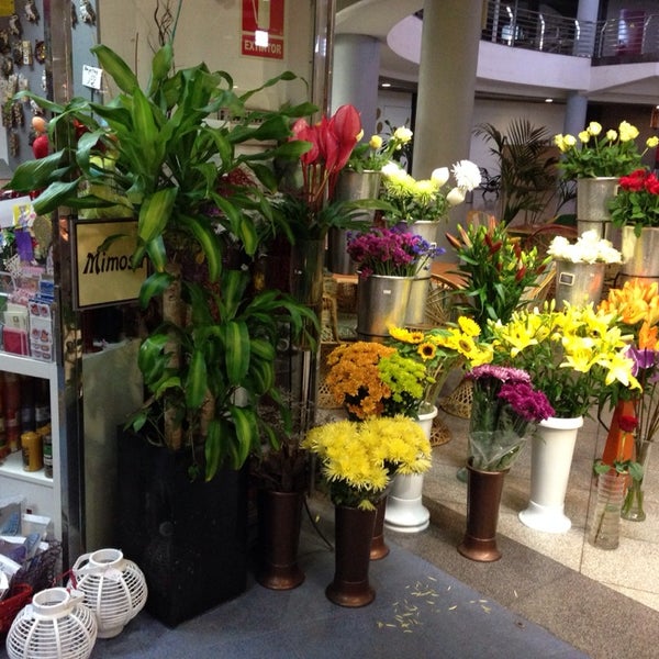 Мимоза цветочный магазин