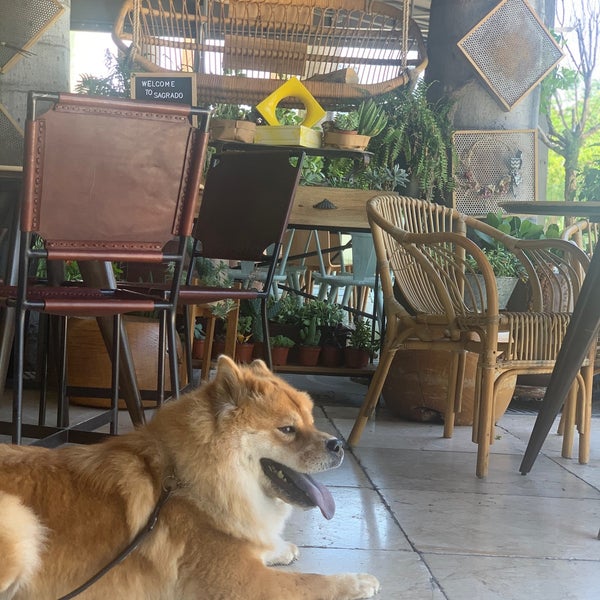 Photo taken at Sagrado Pastry Shop &amp; Coffee Bar by H A. on 6/23/2020