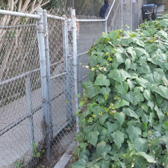 Workout Stairs Hiking Trail in Los Angeles