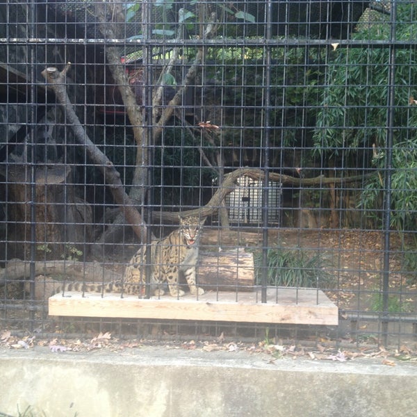 Foto scattata a Brandywine Zoo da Bea M. il 10/28/2013