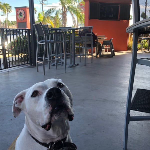 Buffalo Wings & Rings North McAllen 16 tips