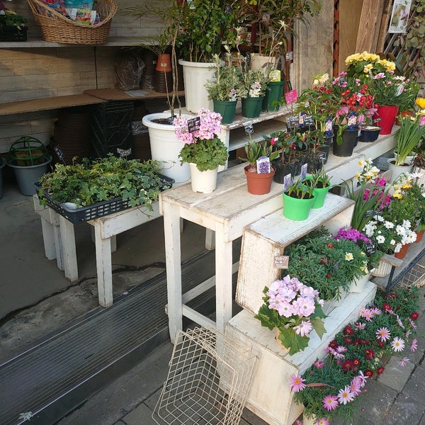フラワーショップ野の花 福岡市の生花店