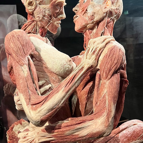 Photo taken at Body Worlds by Onu®️ 🦾 on 7/2/2022