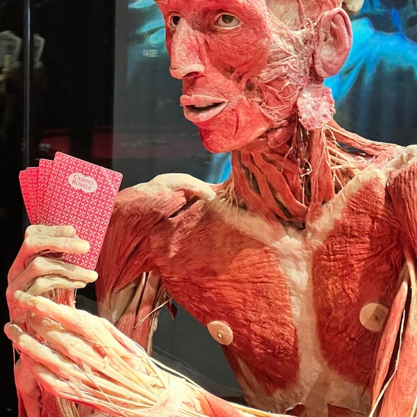 Photo taken at Body Worlds by Onu®️ 🦾 on 7/2/2022